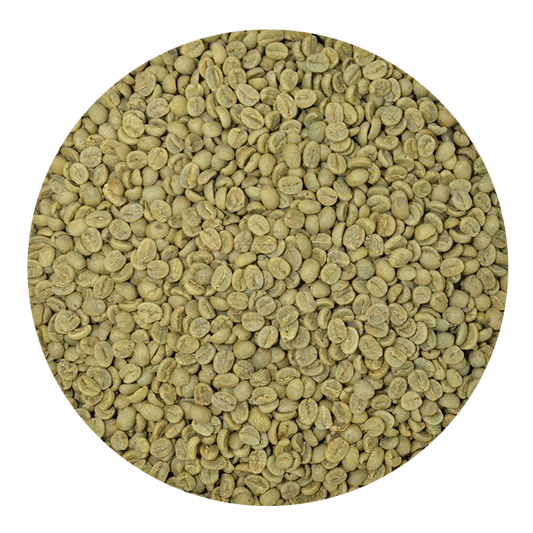 Kenya AA Plus Green Coffee