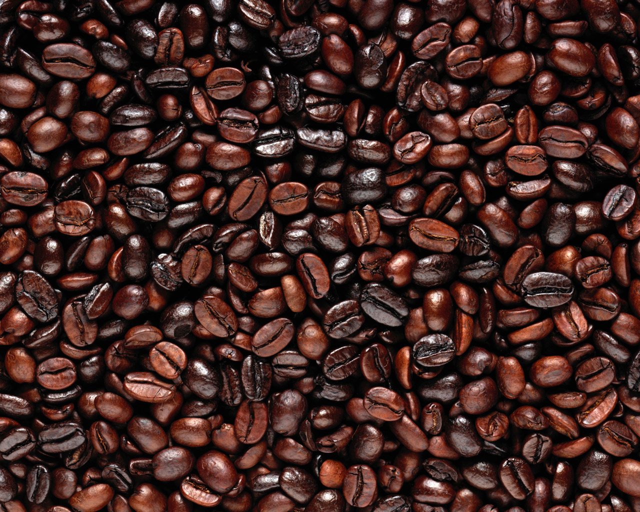 FogHorn Blend