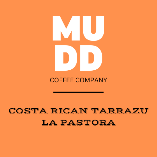 COSTA RICAN TARRAZU LA PASTORA
