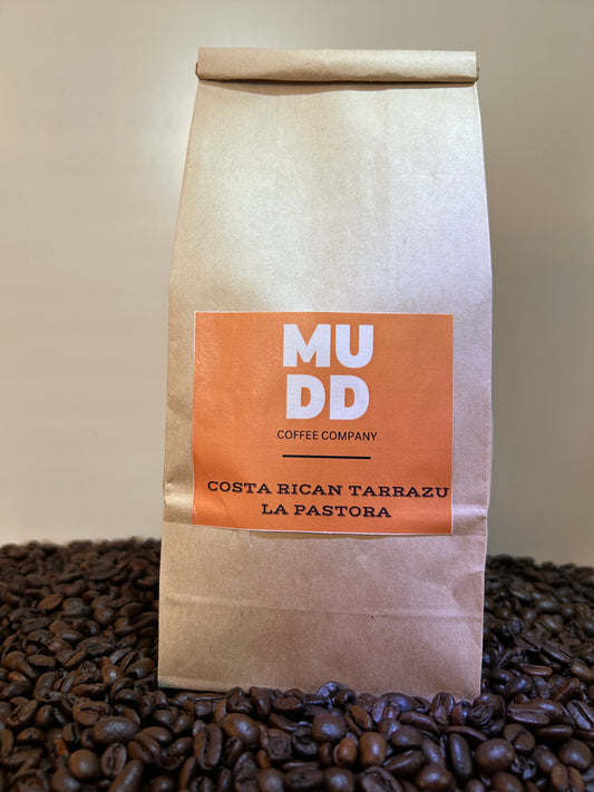 COSTA RICAN TARRAZU LA PASTORA