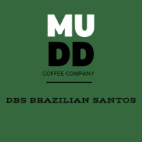 DBS Brazilian Santos