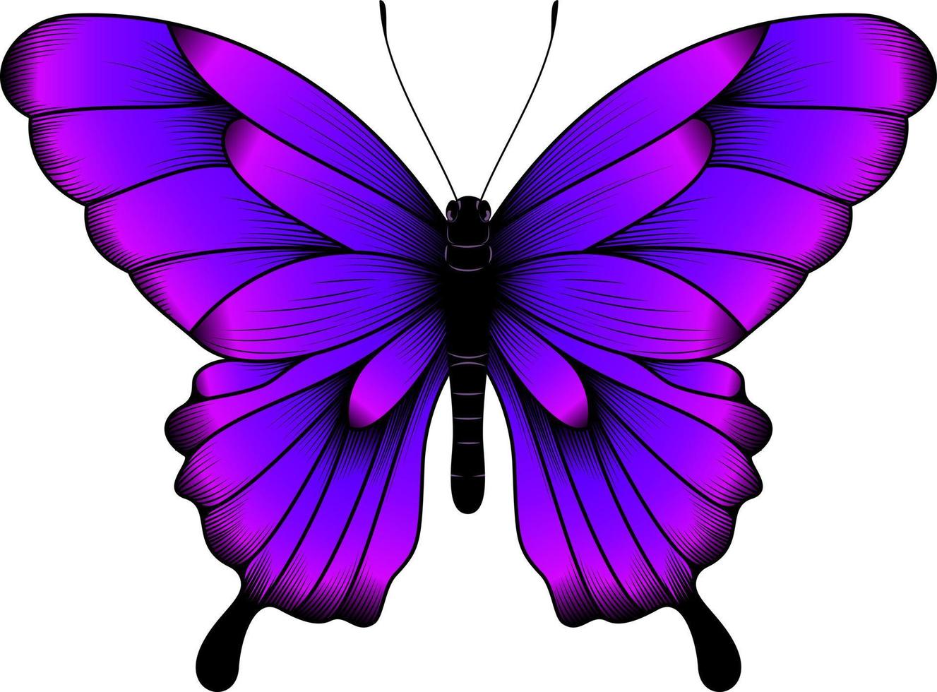 Butterfly Effect