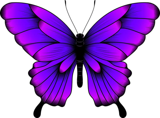 Butterfly Effect